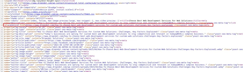 Use Canonical Tags